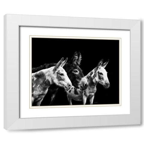Donkey Portrait II White Modern Wood Framed Art Print with Double Matting by PHBurchett
