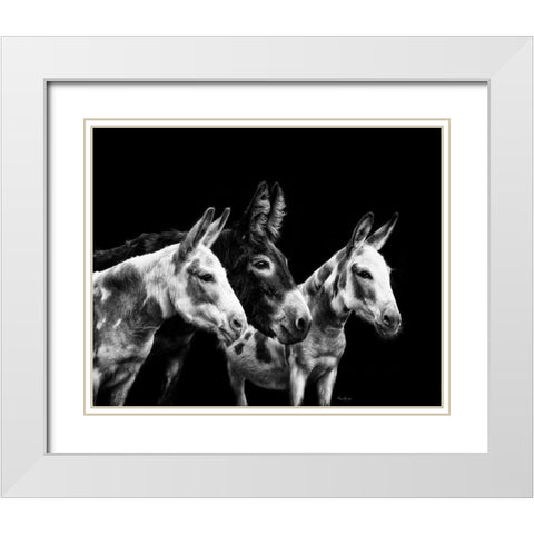 Donkey Portrait II White Modern Wood Framed Art Print with Double Matting by PHBurchett