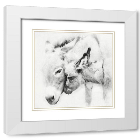 Donkey Portrait III White Modern Wood Framed Art Print with Double Matting by PHBurchett