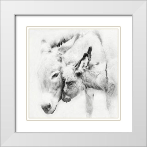 Donkey Portrait III White Modern Wood Framed Art Print with Double Matting by PHBurchett
