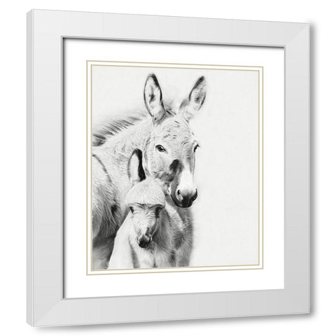 Donkey Portrait V White Modern Wood Framed Art Print with Double Matting by PHBurchett
