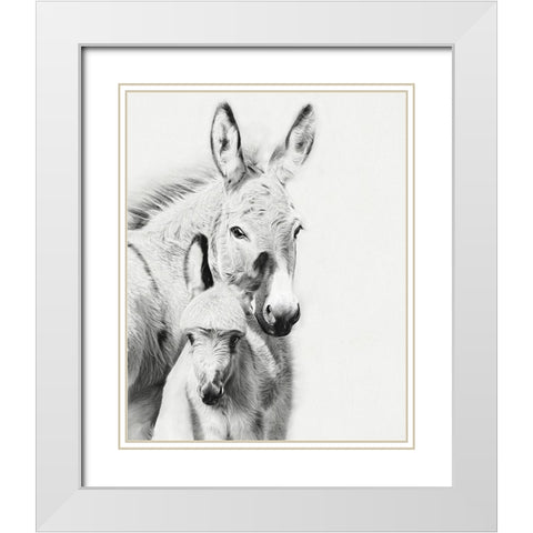Donkey Portrait V White Modern Wood Framed Art Print with Double Matting by PHBurchett