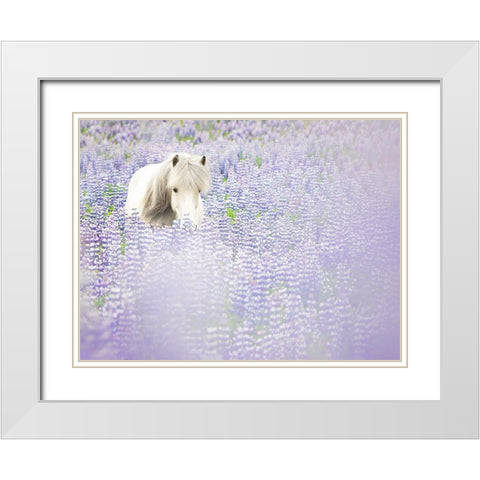 Horse in Lavender II White Modern Wood Framed Art Print with Double Matting by PHBurchett