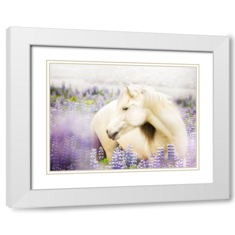 Horse in Lavender III White Modern Wood Framed Art Print with Double Matting by PHBurchett