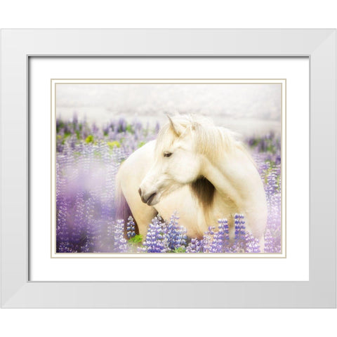 Horse in Lavender III White Modern Wood Framed Art Print with Double Matting by PHBurchett