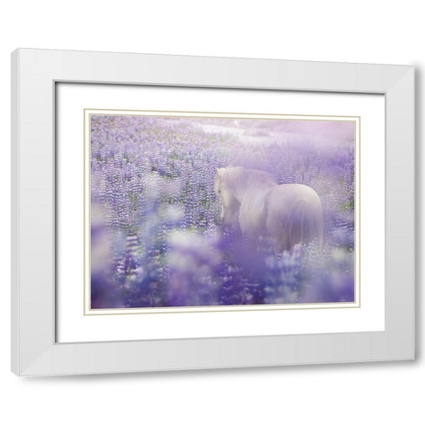 Horse in Lavender IV White Modern Wood Framed Art Print with Double Matting by PHBurchett