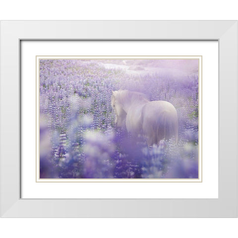 Horse in Lavender IV White Modern Wood Framed Art Print with Double Matting by PHBurchett
