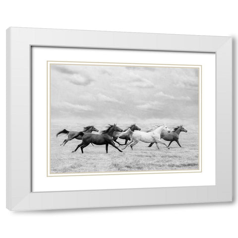 Horse Run I White Modern Wood Framed Art Print with Double Matting by PHBurchett