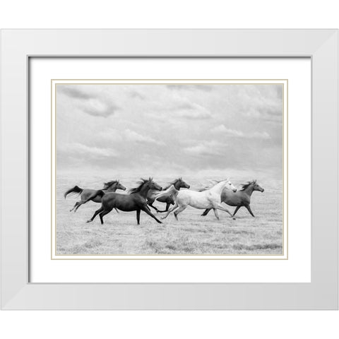 Horse Run I White Modern Wood Framed Art Print with Double Matting by PHBurchett