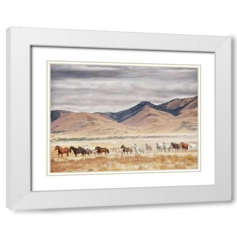 Horse Run II White Modern Wood Framed Art Print with Double Matting by PHBurchett