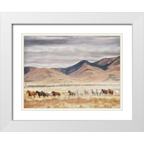 Horse Run II White Modern Wood Framed Art Print with Double Matting by PHBurchett