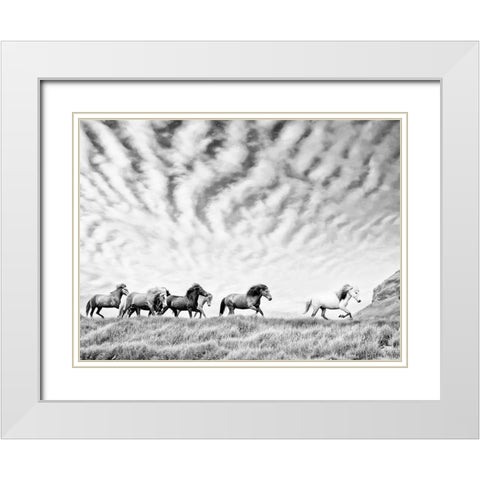 Horse Run III White Modern Wood Framed Art Print with Double Matting by PHBurchett