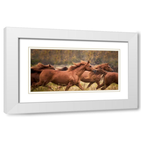 Horse Run VI White Modern Wood Framed Art Print with Double Matting by PHBurchett