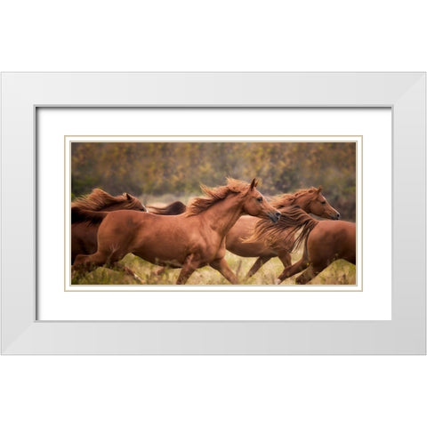 Horse Run VI White Modern Wood Framed Art Print with Double Matting by PHBurchett
