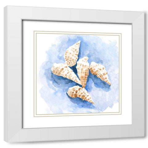 Shell Impressions I White Modern Wood Framed Art Print with Double Matting by Caroline, Emma