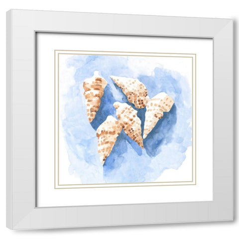 Shell Impressions II White Modern Wood Framed Art Print with Double Matting by Caroline, Emma