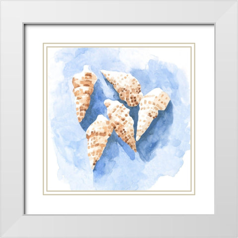 Shell Impressions II White Modern Wood Framed Art Print with Double Matting by Caroline, Emma