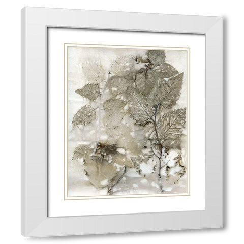 Birch Leaves I White Modern Wood Framed Art Print with Double Matting by Phillips, Kathryn