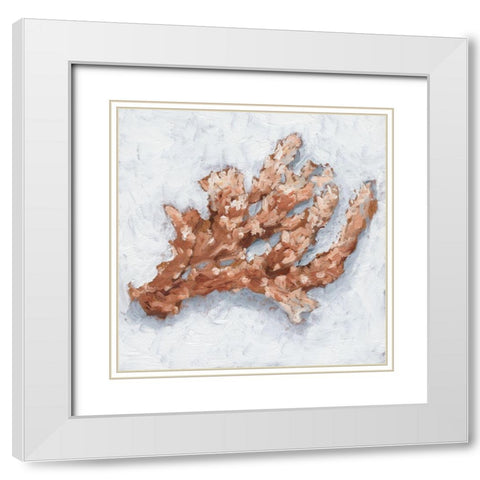 Coral Display II White Modern Wood Framed Art Print with Double Matting by Harper, Ethan