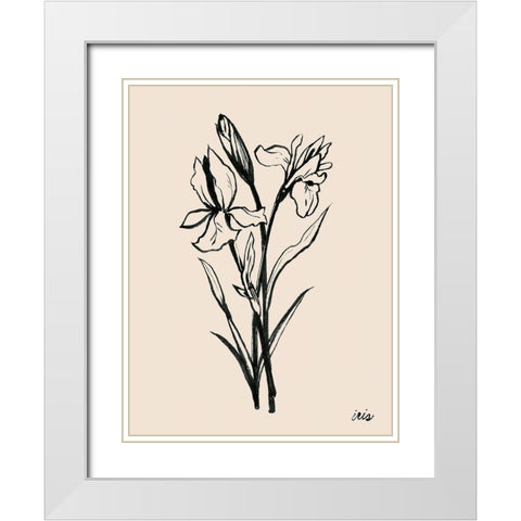 Iris Sketch I White Modern Wood Framed Art Print with Double Matting by Popp, Grace