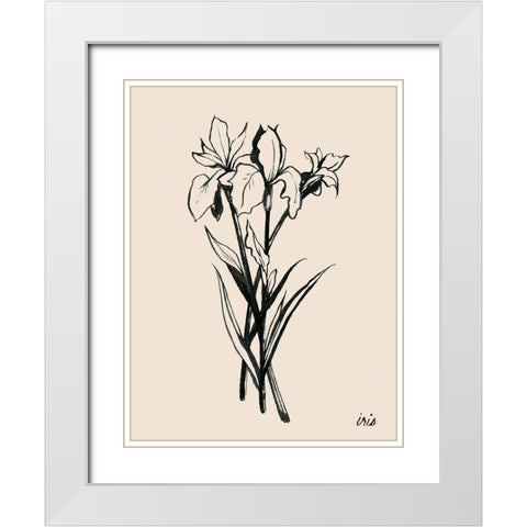 Iris Sketch II White Modern Wood Framed Art Print with Double Matting by Popp, Grace