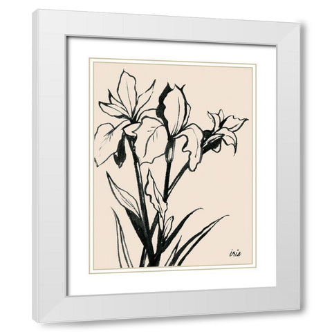Iris Sketch III White Modern Wood Framed Art Print with Double Matting by Popp, Grace