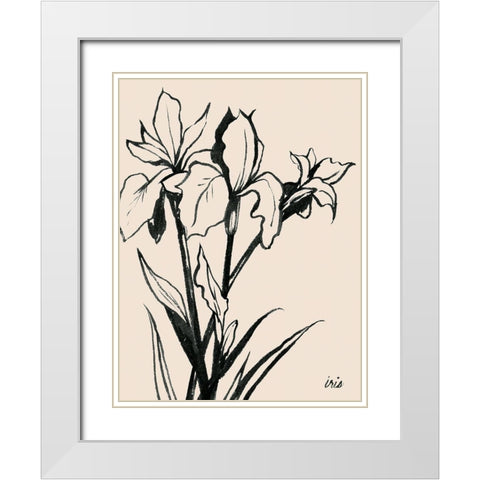 Iris Sketch III White Modern Wood Framed Art Print with Double Matting by Popp, Grace