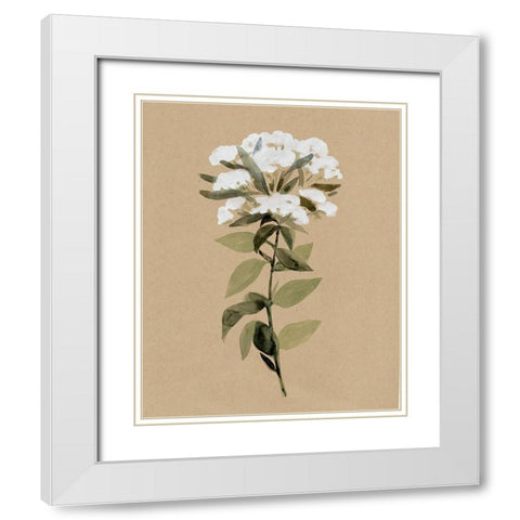 White Wildflower II White Modern Wood Framed Art Print with Double Matting by Warren, Annie