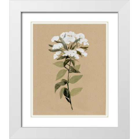 White Wildflower II White Modern Wood Framed Art Print with Double Matting by Warren, Annie