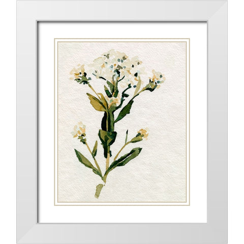 White Antique Wildflower II White Modern Wood Framed Art Print with Double Matting by Caroline, Emma