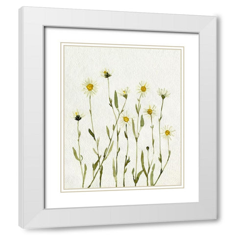 White Antique Daisies II White Modern Wood Framed Art Print with Double Matting by Caroline, Emma