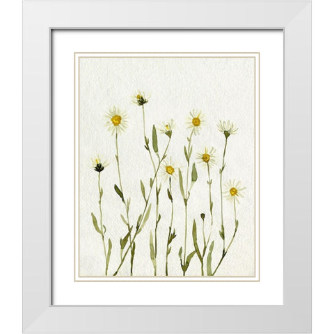 White Antique Daisies II White Modern Wood Framed Art Print with Double Matting by Caroline, Emma