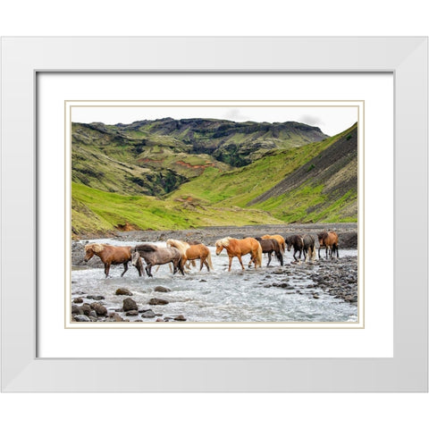 Collection of Horses II White Modern Wood Framed Art Print with Double Matting by PHBurchett