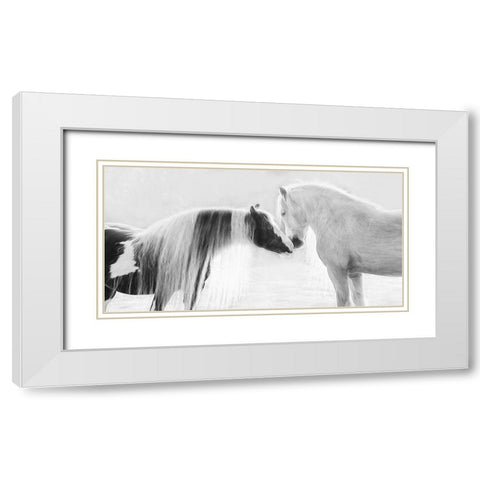Collection of Horses III White Modern Wood Framed Art Print with Double Matting by PHBurchett