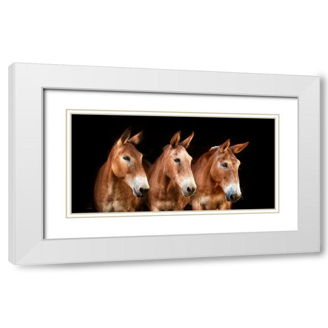 Collection of Horses IV White Modern Wood Framed Art Print with Double Matting by PHBurchett