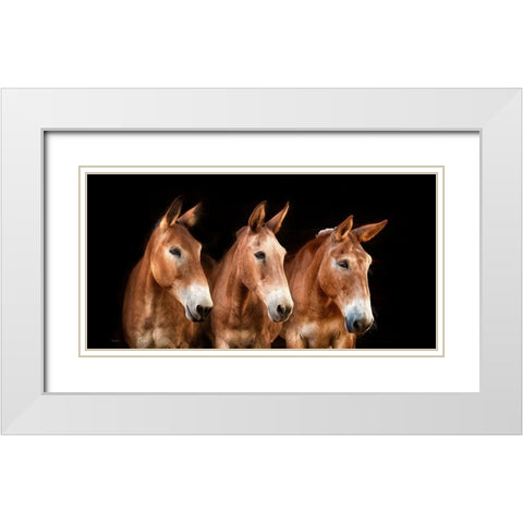 Collection of Horses IV White Modern Wood Framed Art Print with Double Matting by PHBurchett