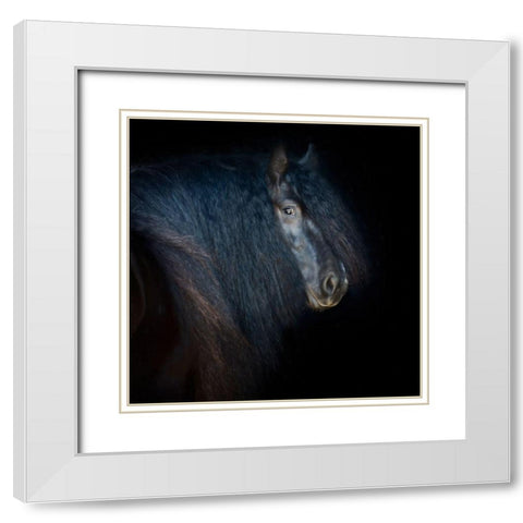 Collection of Horses VI White Modern Wood Framed Art Print with Double Matting by PHBurchett