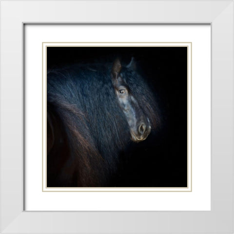 Collection of Horses VI White Modern Wood Framed Art Print with Double Matting by PHBurchett
