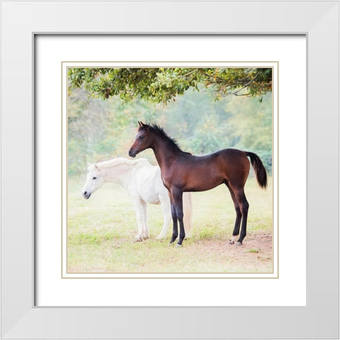 Collection of Horses VII White Modern Wood Framed Art Print with Double Matting by PHBurchett
