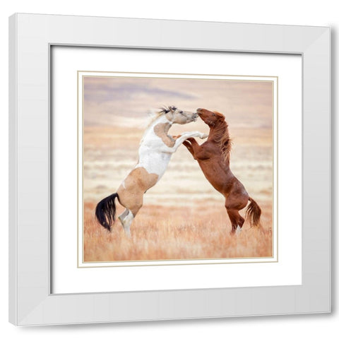 Collection of Horses VIII White Modern Wood Framed Art Print with Double Matting by PHBurchett