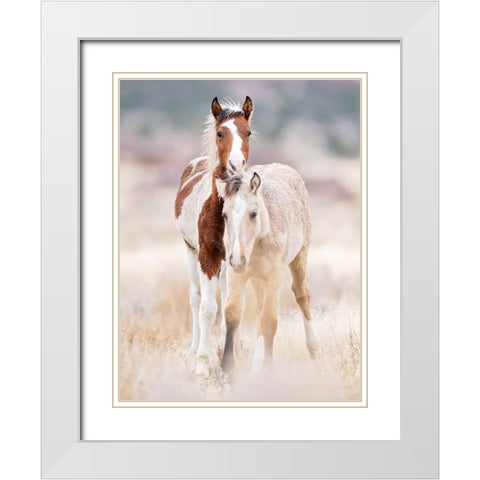 Collection of Horses X White Modern Wood Framed Art Print with Double Matting by PHBurchett