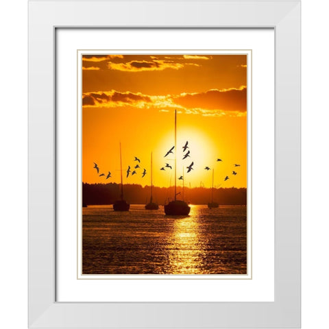 Water and Land II White Modern Wood Framed Art Print with Double Matting by PHBurchett