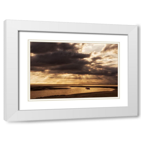 Water and Land IV White Modern Wood Framed Art Print with Double Matting by PHBurchett