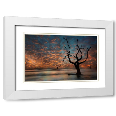 Water and Land V White Modern Wood Framed Art Print with Double Matting by PHBurchett