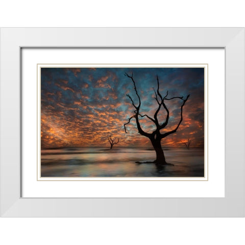Water and Land V White Modern Wood Framed Art Print with Double Matting by PHBurchett