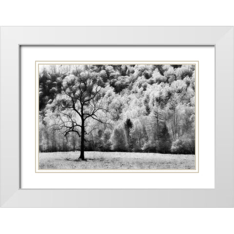 Water and Land VI White Modern Wood Framed Art Print with Double Matting by PHBurchett