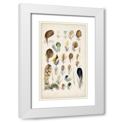Antique Bird Feathers II White Modern Wood Framed Art Print with Double Matting by Unknown