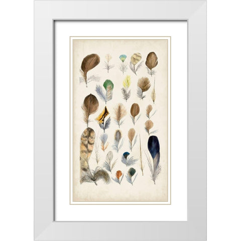 Antique Bird Feathers II White Modern Wood Framed Art Print with Double Matting by Unknown