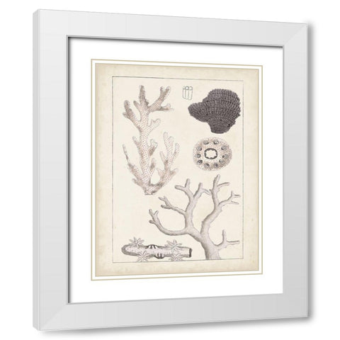 Antique White Coral II White Modern Wood Framed Art Print with Double Matting by Vision Studio