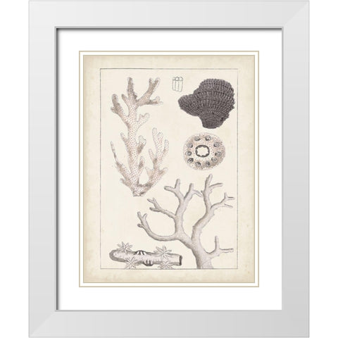 Antique White Coral II White Modern Wood Framed Art Print with Double Matting by Vision Studio